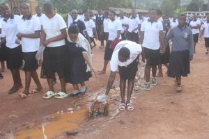 Students of St. Theresa Girls’ Vocational S.S Rushoroza PICK polythene bags along Mwanjari Market located on Kabale-Katuna road as Uganda commemorated its 63rd independence anniversary.